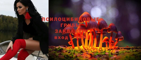 spice Богородск