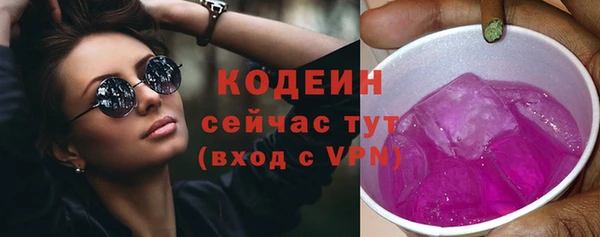 spice Богородск