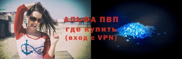 сатива Белоозёрский