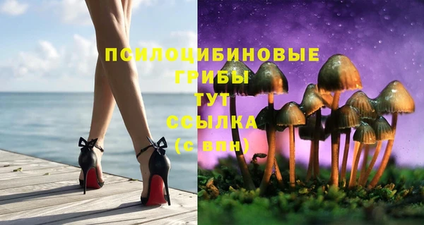 мет Богданович