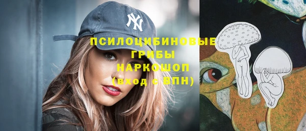 spice Богородск