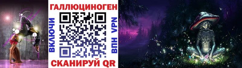 Купить где  Адыгейск  Галлюциногенные грибы GOLDEN TEACHER 